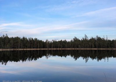 A very still lake with blue skies and trees reflected