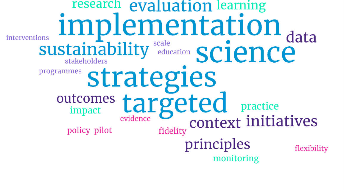 Word cloud on implementation science with the largest words being: implementation, science, strategies and targeted, followed by evaluation and sustainability. The next level of words include data, outcomes, context, initiatives and principles.