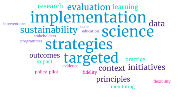 Word cloud on implementation science with the largest words being: implementation, science, strategies and targeted, followed by evaluation and sustainability. The next level of words include data, outcomes, context, initiatives and principles.