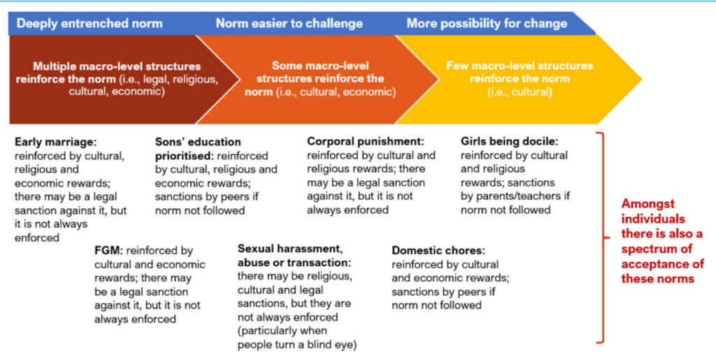 Figure 3 shows a mapping of gender norms based on their degree of macro-level structures and associated rewards and sanctions. It uses a spectrum of deeply entrenched norms, norms that are easier to challenge and norms that have more possibility for change. The norms are mapped along this spectrum from the hardest to change along to those that have more possibility: early marriage, FGM, sons’ education prioritised, sexual harassment, abuse or transaction, corporal punishment, domestic chores and girls being docile.